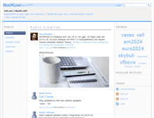 Tablet Screenshot of bluex.im